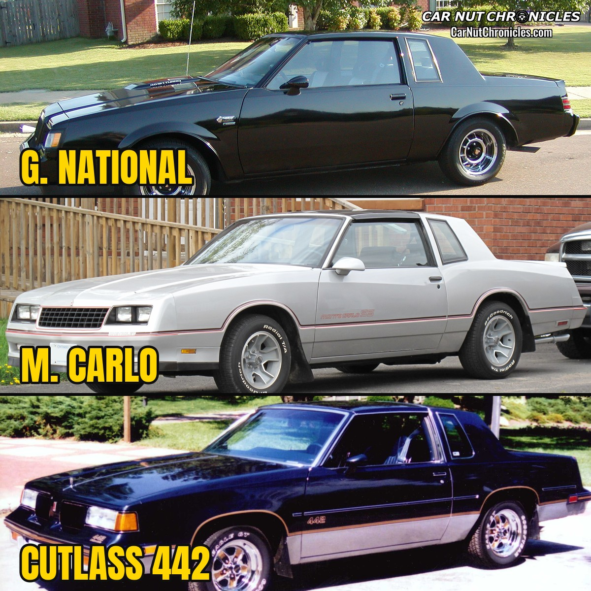 Stacked side views of a black 1987 Buick Grand National, a silver 1986 Chevrolet Monte Carlo SS and a blue two-tone 1987 Oldsmobile Cutlass Supreme 442, labeled G. National, M. Carlo and Cutlass 442